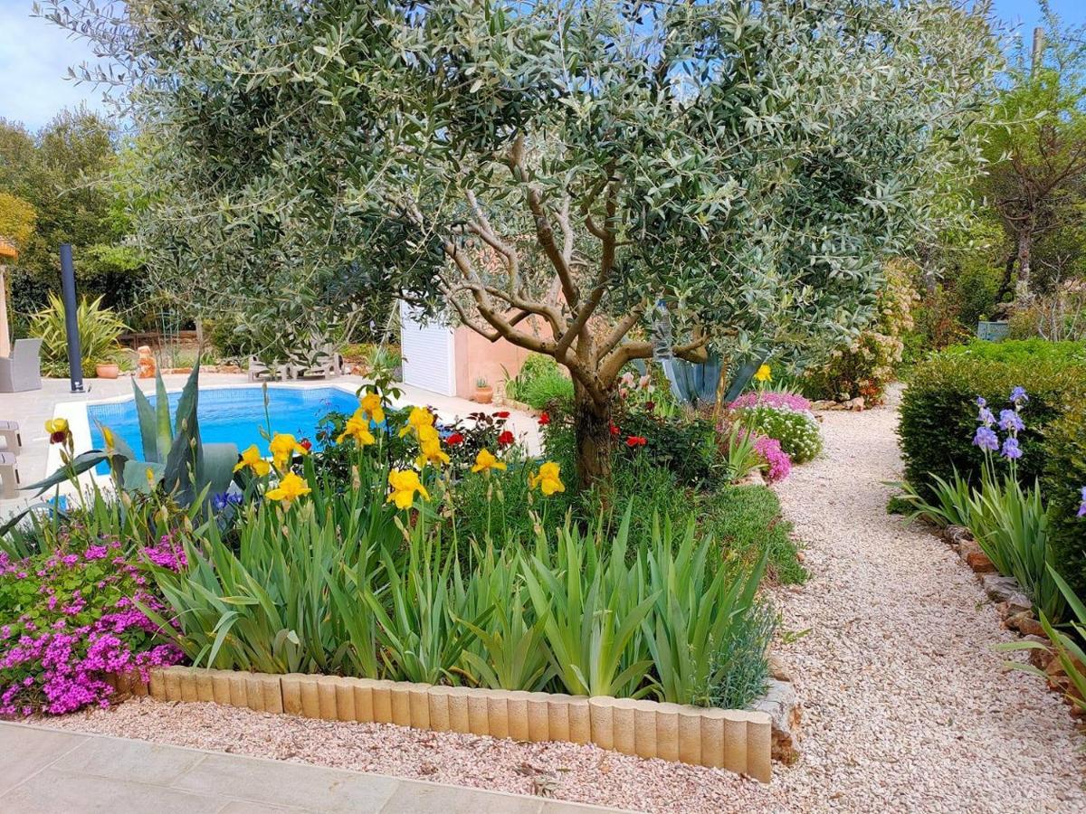 Régusse B&B Villa Les Tamaris מראה חיצוני תמונה