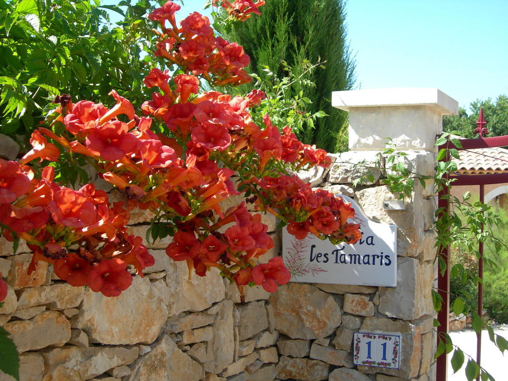 Régusse B&B Villa Les Tamaris מראה חיצוני תמונה